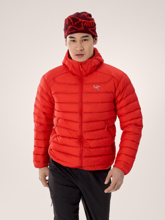 Cerium Hoody M Dynasty model Cerium Hoody M Dynasty model